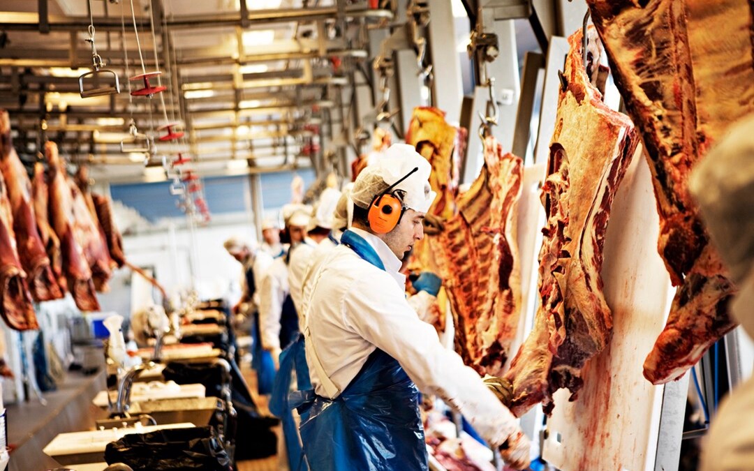 Bildet viser en slakter som jobber med et stort kjøttstykke som henger på en krok. Vi ser flere arbeidere og kjøttstykker i bakgrunnen. 