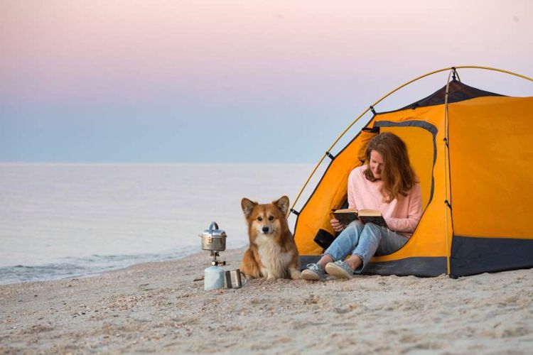 Kvinne på strand sitter utenfor et telt og leser i en bok. En hund ligger ved siden av henne på sanden.