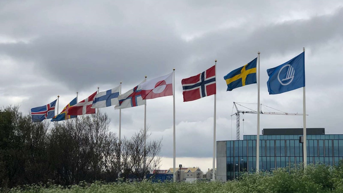 Bildet viser flaggene til Island, Færøyene, Åland, Danmark, Finland, Grønland, Norge , Sverige og  Nordisk ministerråd. 