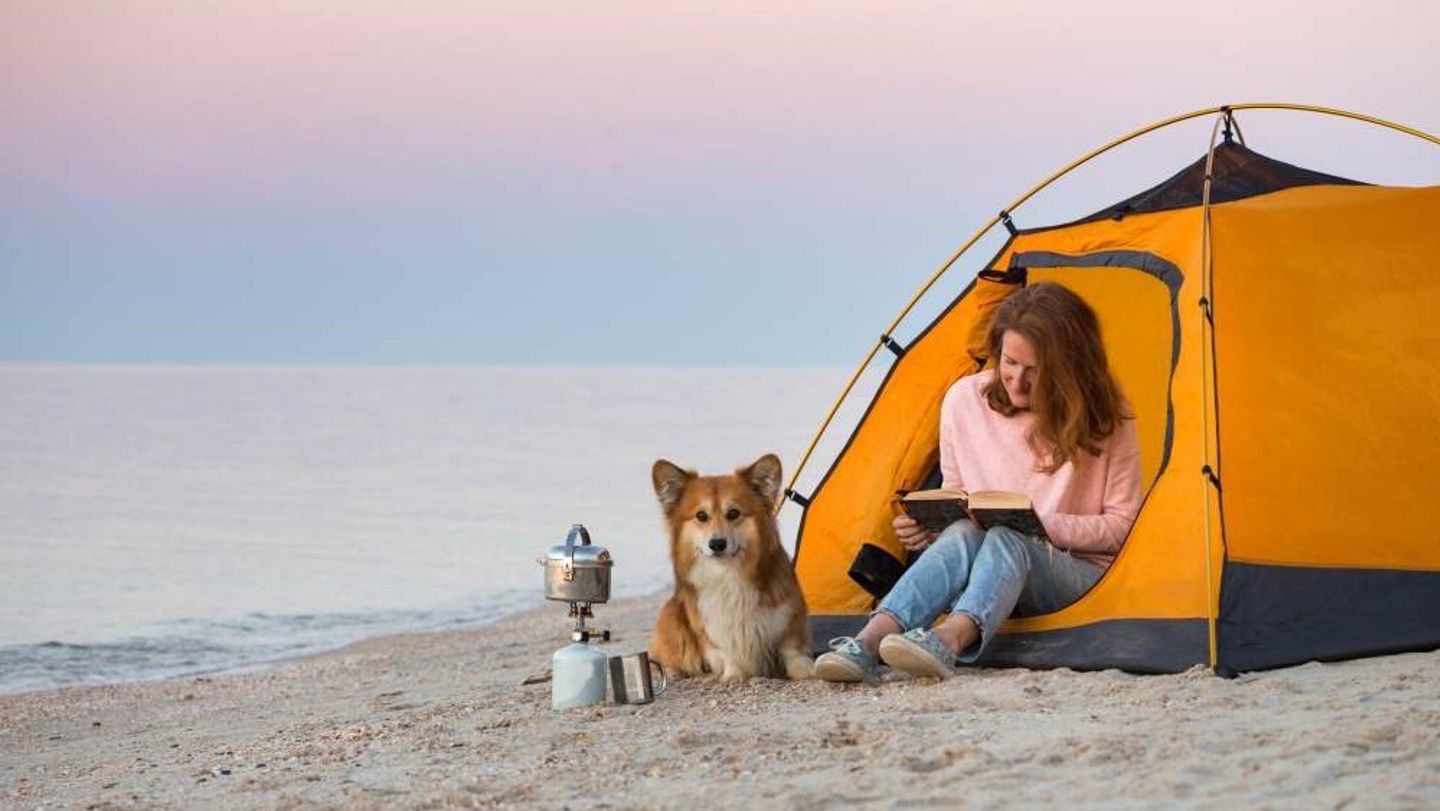 Kvinne på strand sitter utenfor et telt og leser i en bok. En hund ligger ved siden av henne på sanden.